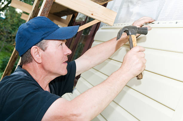 Affordable Siding Repair and Maintenance Services in East St Louis, IL